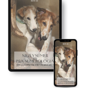 PSIA NUMEROLOGIA e-book