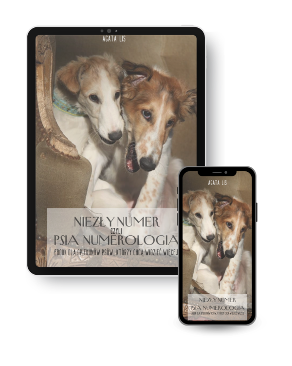 PSIA NUMEROLOGIA e-book