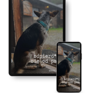 ODPIERD*L SIĘ OD PSA e-book