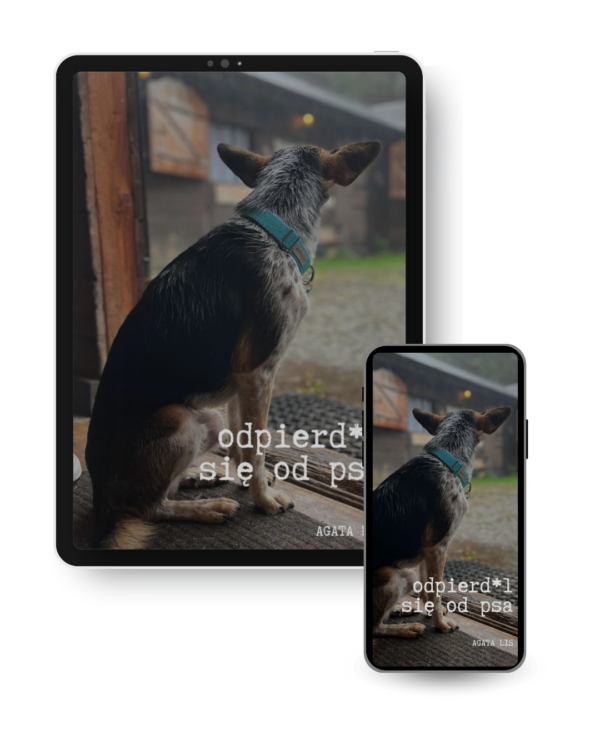 ODPIERD*L SIĘ OD PSA e-book